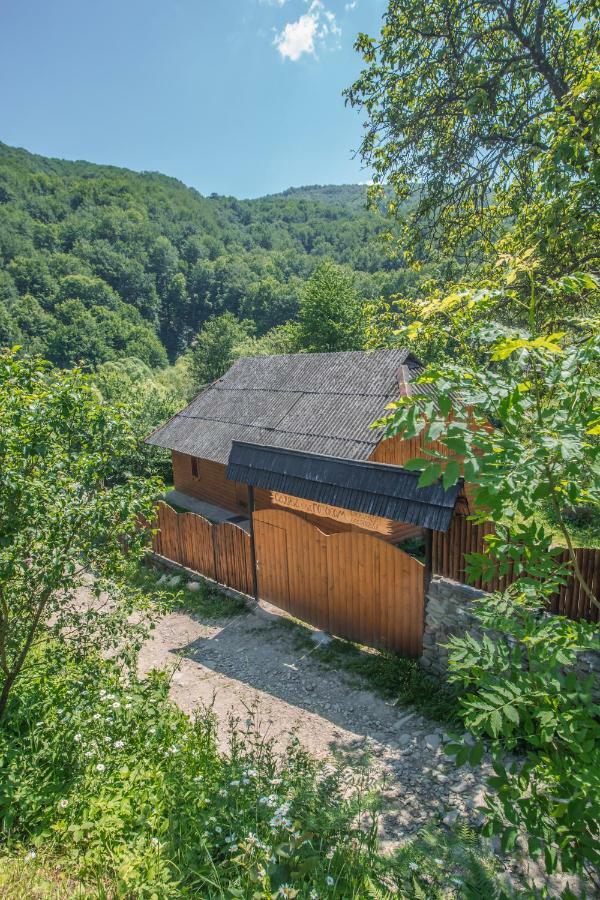 Садиба Над Потоком Lumshory Exterior foto